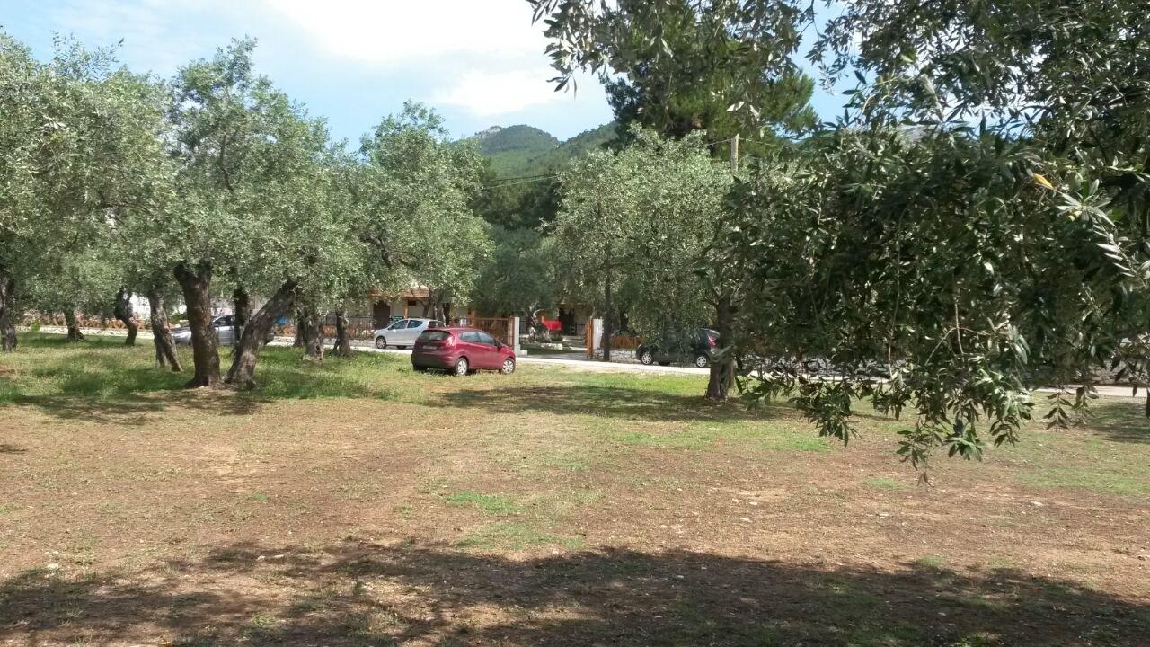 Сад Hotel Pachis Beach