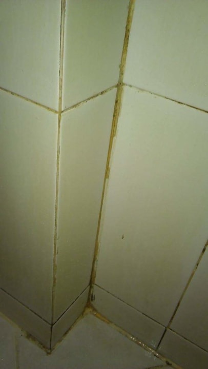 Zimmer The Green Park Resort