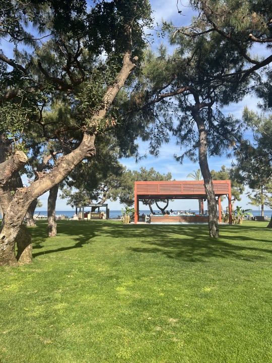 Gartenanlage TUI MAGIC LIFE Beldibi +16