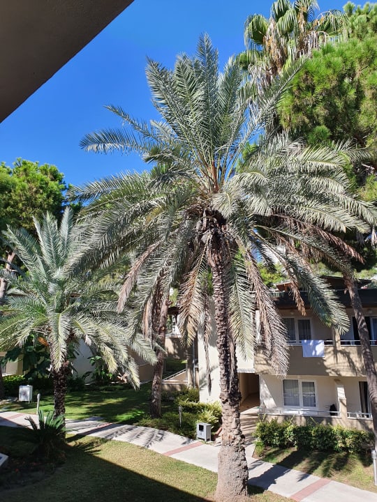 Gartenanlage Club Sidelya Hotel