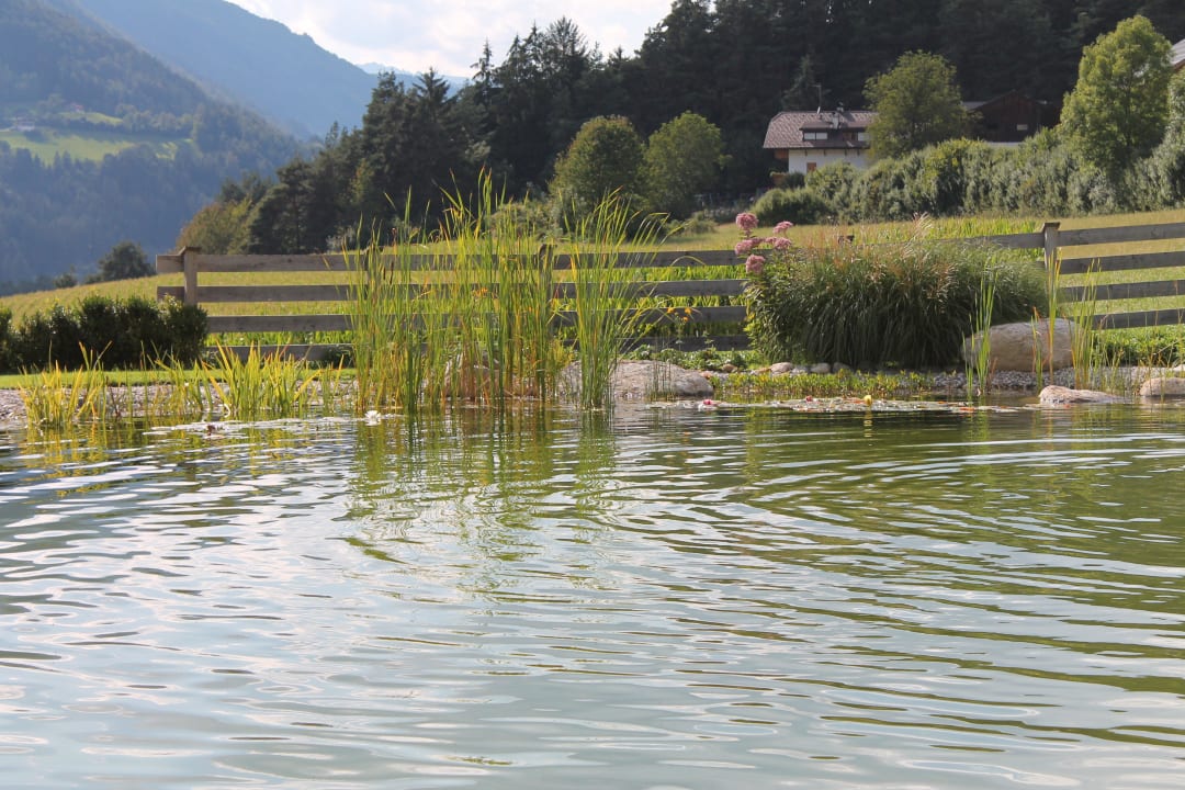 Der See / Naturschwimmbad Leitgam Adults Only Hotel