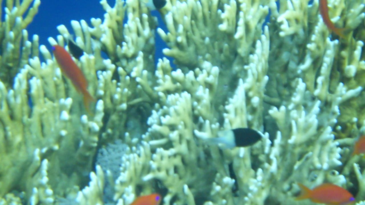 Ausblick Rohanou Beach Resort