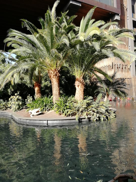 Pool Lopesan Baobab Resort