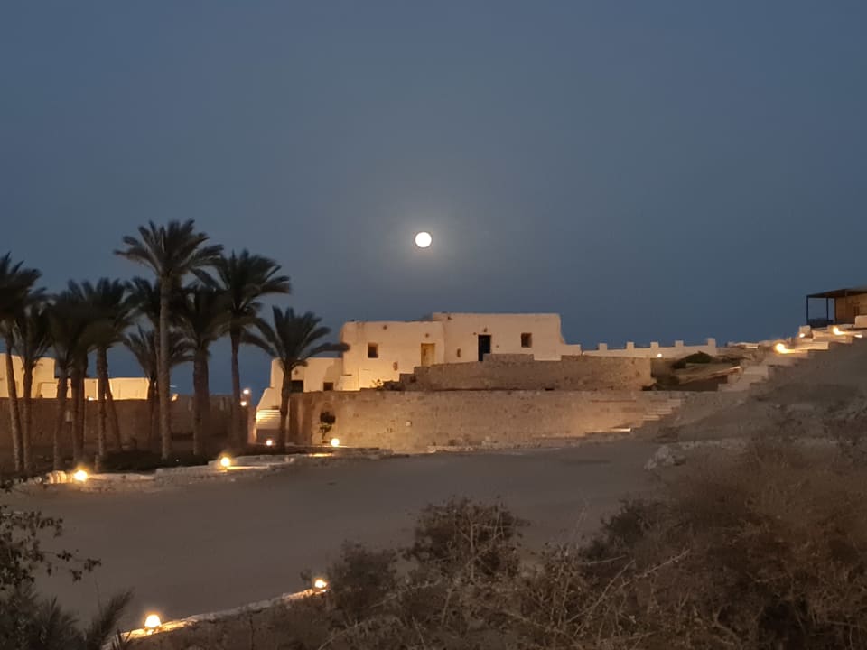 Außenansicht The Oasis Dive Resort