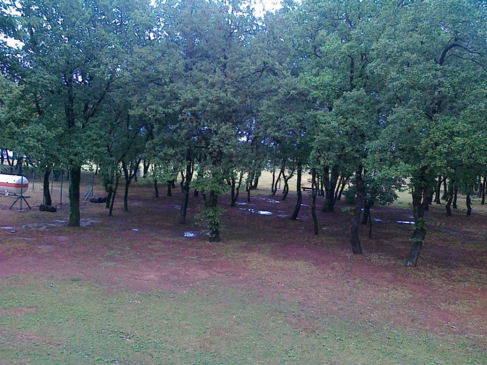 Balkon Hotel Aurora Plava Laguna