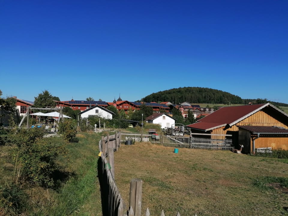 Gartenanlage Familotel Der Böhmerwald - Euer Familienhotel im Bayerischen Wald