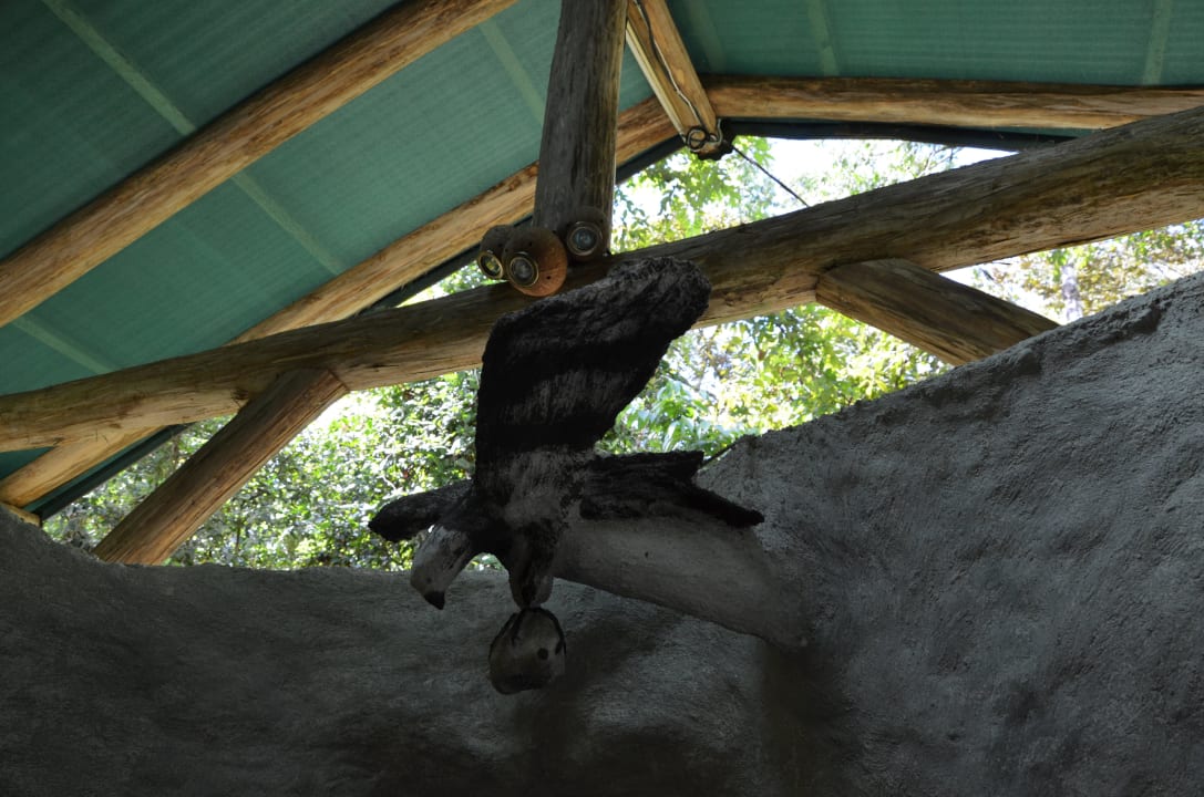 Duschkopf in Form eines Adlers Danta Corcovado Lodge