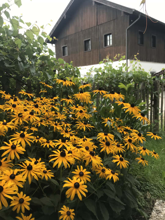 Gartenanlage Höglerhof  Ferienwohnung Westenburger