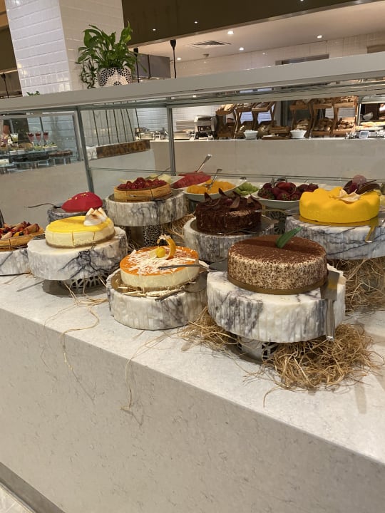 Gastro Acanthus Cennet Barut Collection