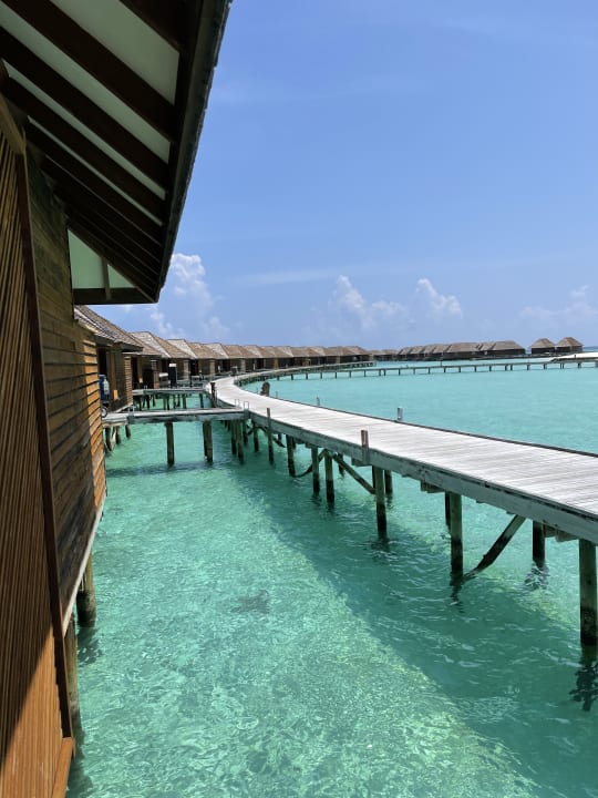 Zimmer Veligandu Maldives Resort Island