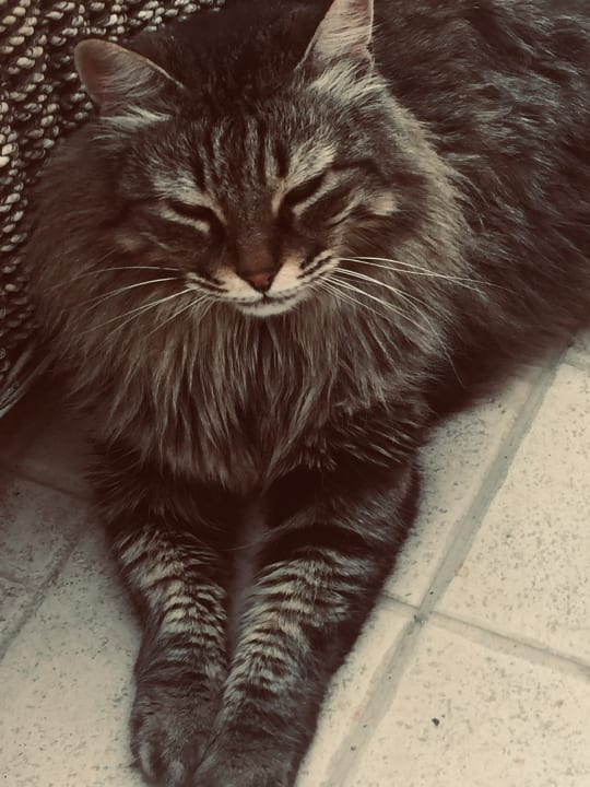 Sonstiges Constantinou Bros Athena Royal Beach Hotel