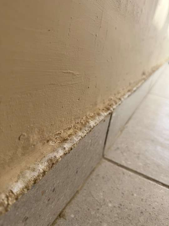 Zimmer JAZ Elite Riviera