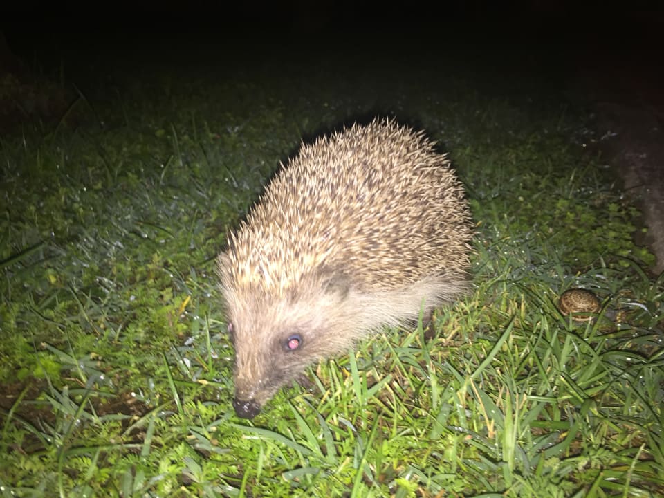 Sonstiges VONRESORT Golden Beach