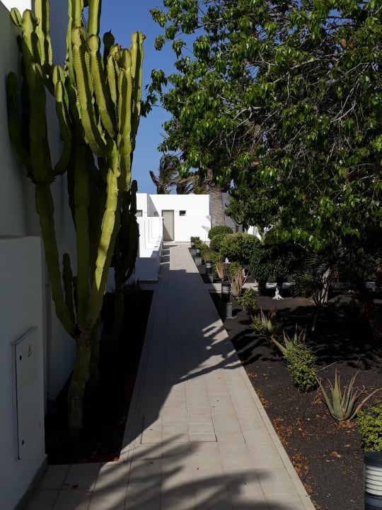 Gartenanlage Hotel Las Costas