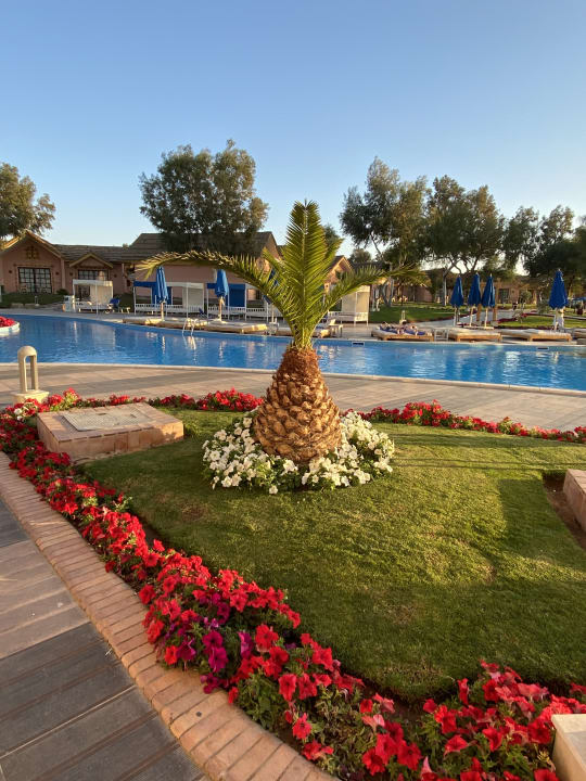 Gartenanlage Pickalbatros Jungle Aqua Park Resort - Neverland Hurghada