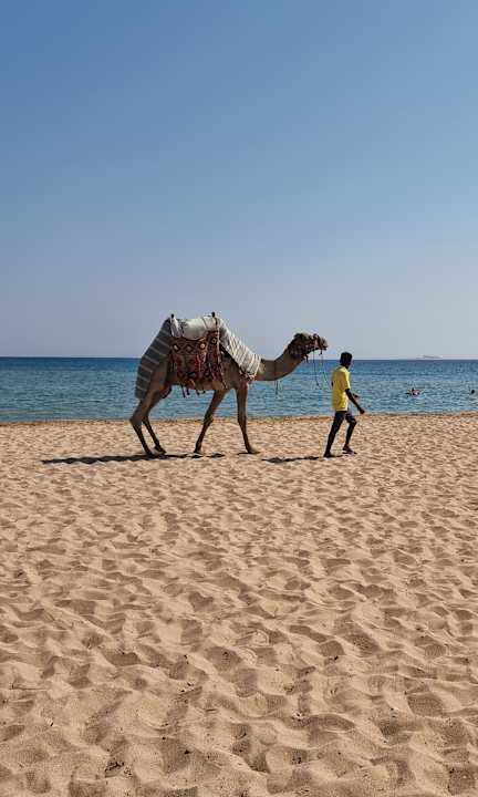 Strand Shams Safaga Resort