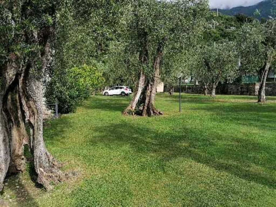 Gartenanlage Orchidea Hotel Garni