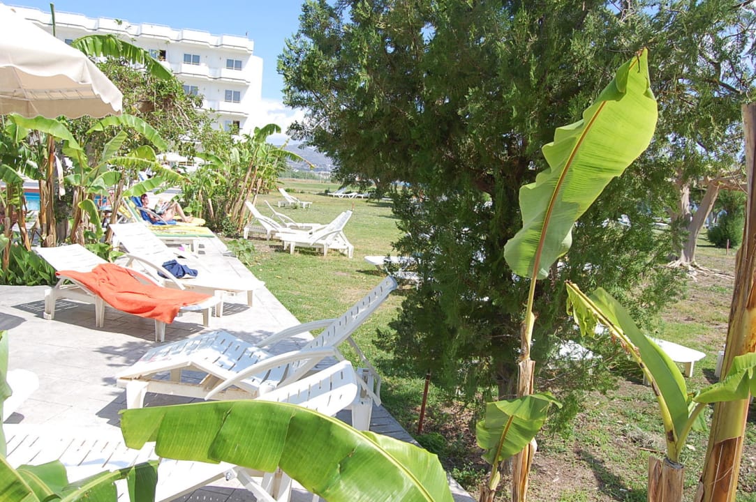 Leżaki Irene Palace Beach Resort Club alltoura