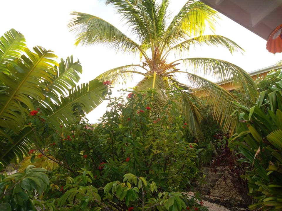 Blick aus der Außenküche/Terrasse Don Genaro Apartments