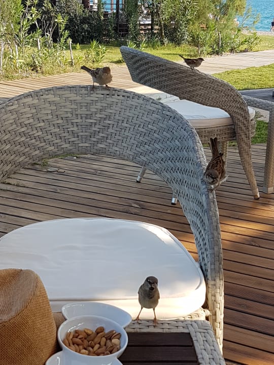 Gastro Xanadu Resort Hotel