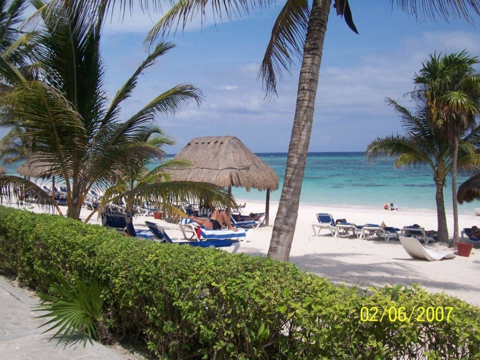 Strand von Club Hotel Akumal Beach Akumal Bay Beach & Wellness Resort