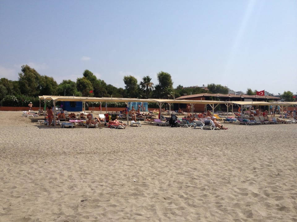 Ausreichend Liegen Club Turtas Beach Hotel
