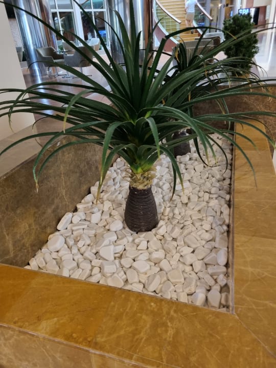 Sonstiges Sunis Evren Beach Resort Hotel & Spa