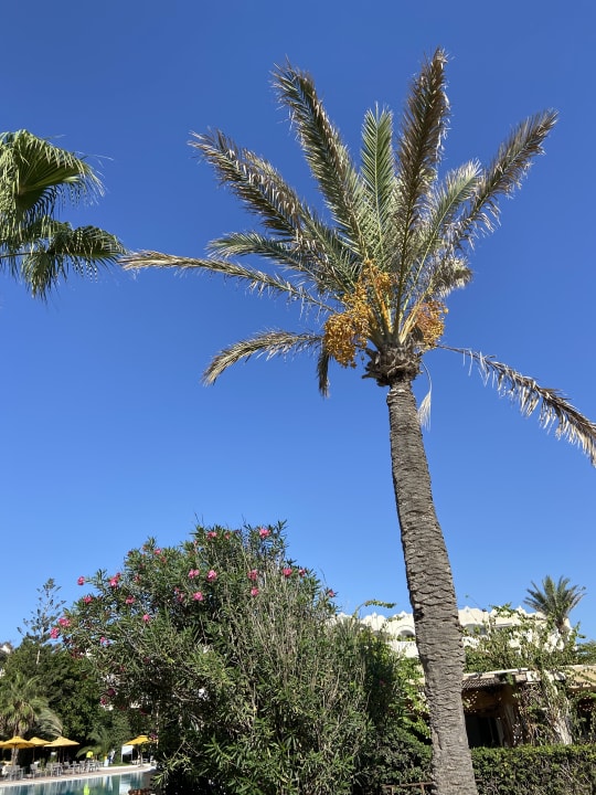 Gartenanlage Mahdia Beach & Aquapark