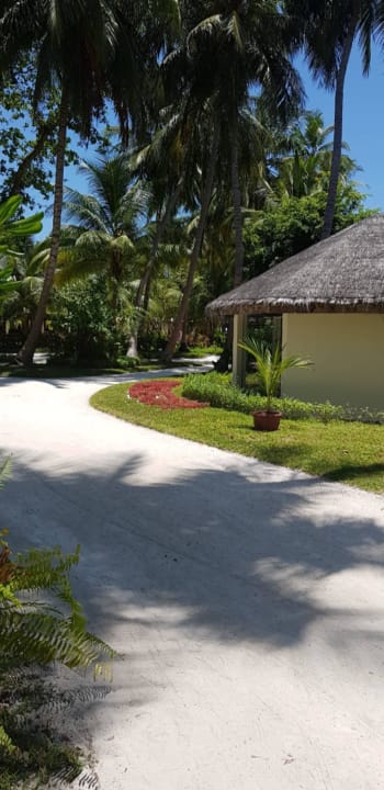 Garten Meeru Maldives Resort Island