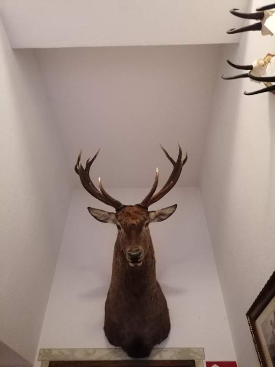 Sonstiges Das Schlössl