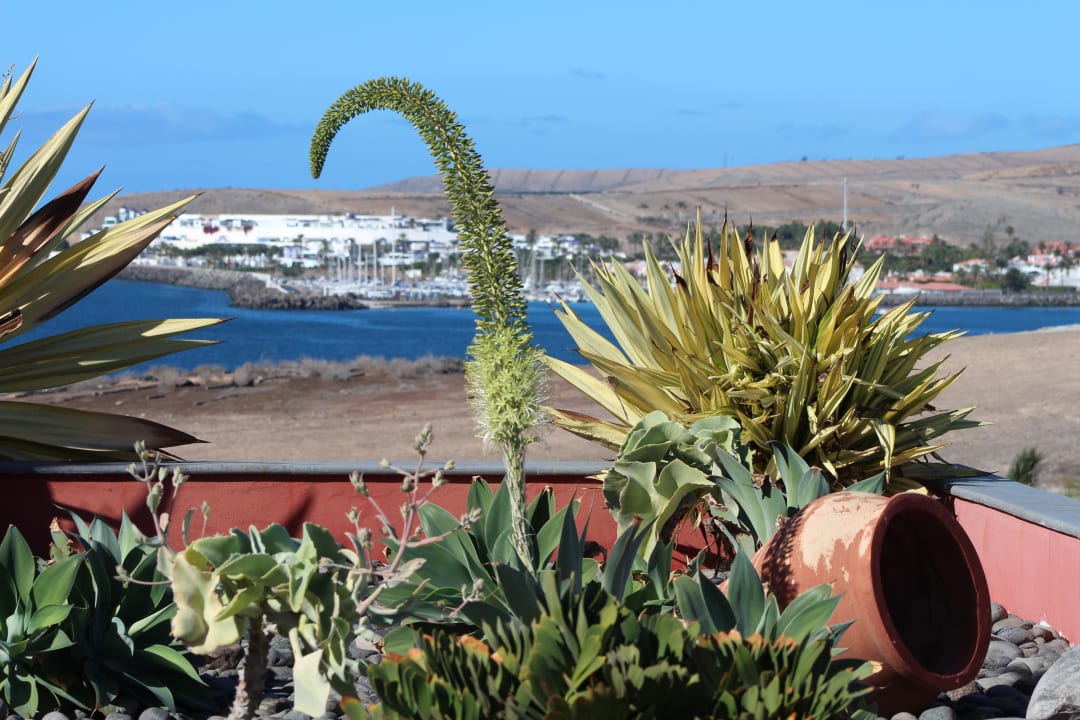 Ausblick Lopesan Villa del Conde Resort & Thalasso