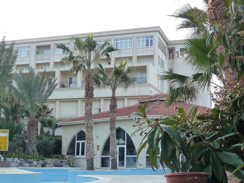 Pool unter Palmen Oscar Resort Hotel