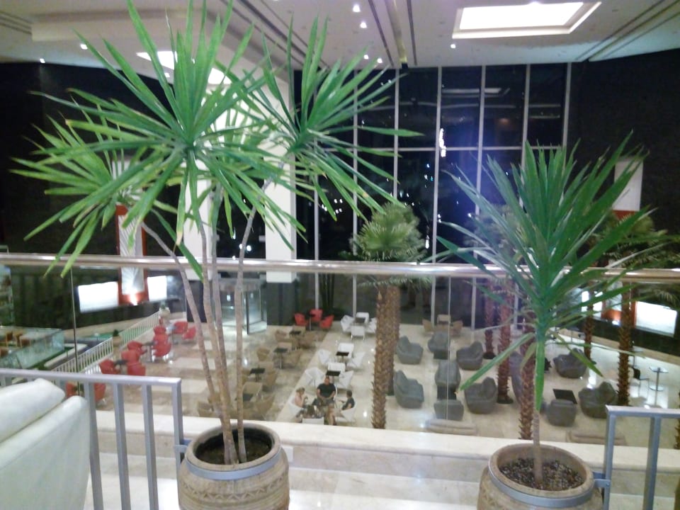 Lobby Serenity Alma Heights