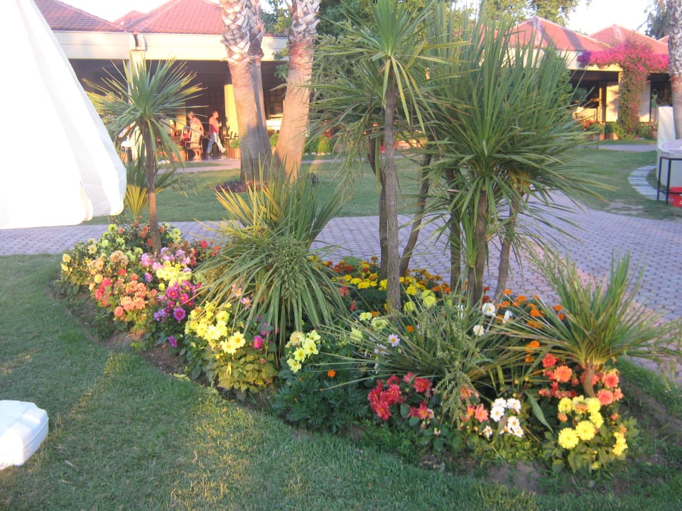 Kunterbunt Club Tuana Fethiye