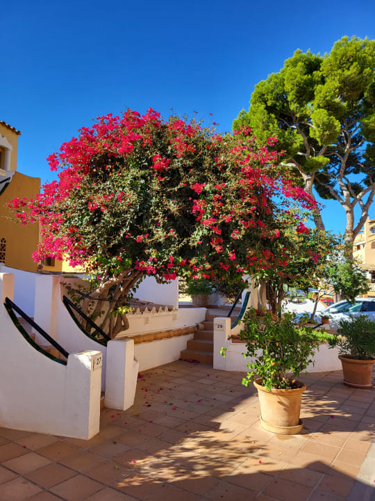 Sonstiges BQ Bulevar Paguera - Adults only