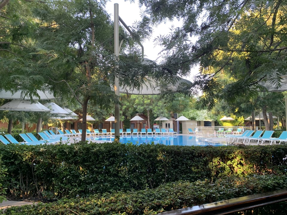 Pool Can Garden Beach