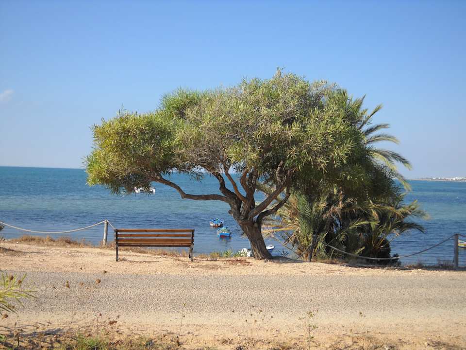 Eine ruhige Bank mit tollem Blick Hotel El Mouradi Djerba Menzel