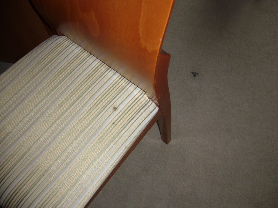 Kaugummi auf dem Stuhl und dem Teppich Sol Luna Bay