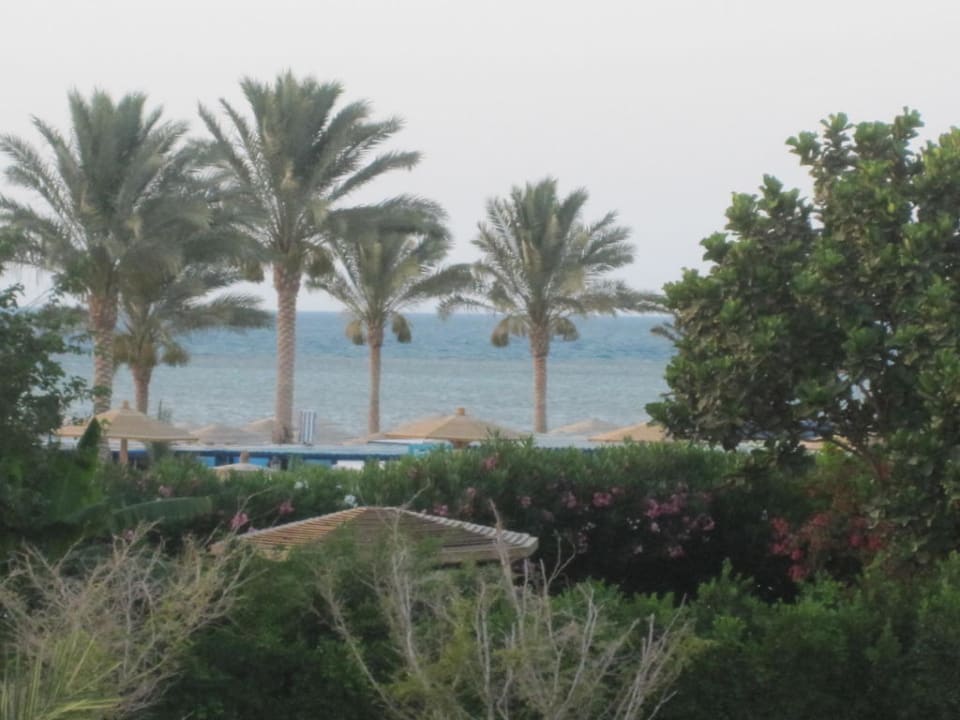 Zimmerblick Golden Beach Resort