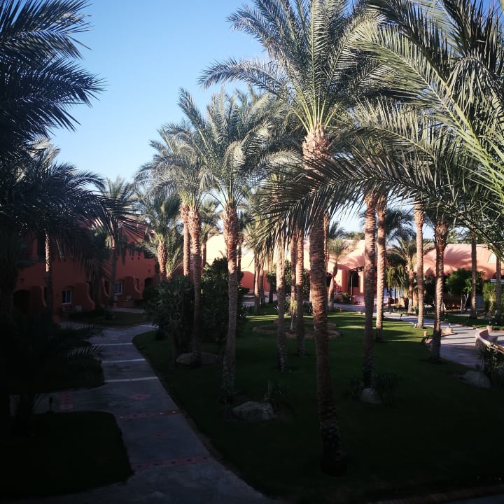 Ausblick Jaz Makadi Oasis Resort