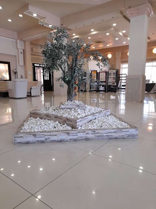 Lobby Hotel Gaia Palace