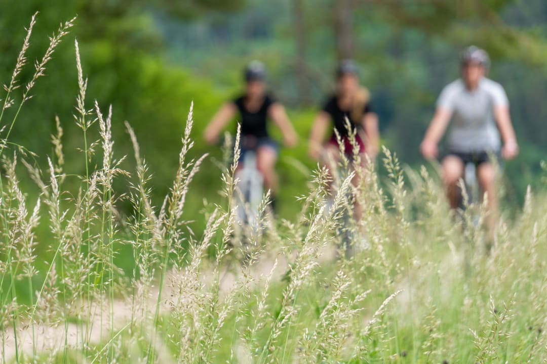 Sport & Freizeit Hotel Dirsch Wellness & Spa Resort