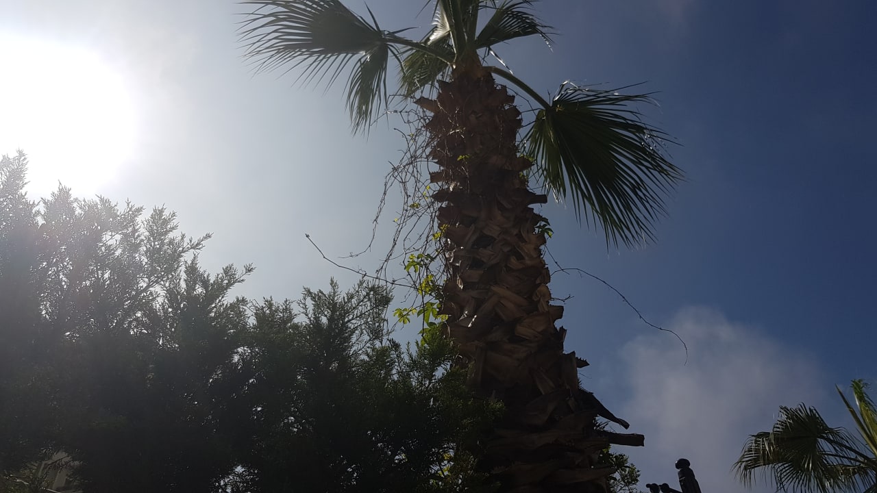 Ausblick Wyndham Garden Lara