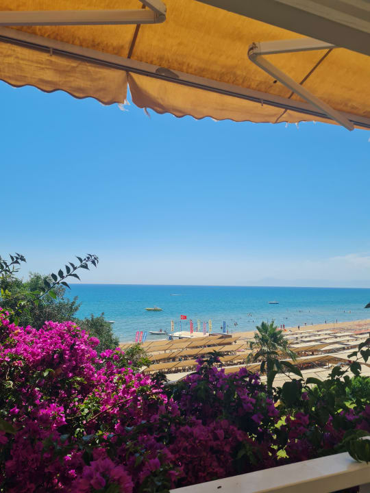 Ausblick Can Garden Resort