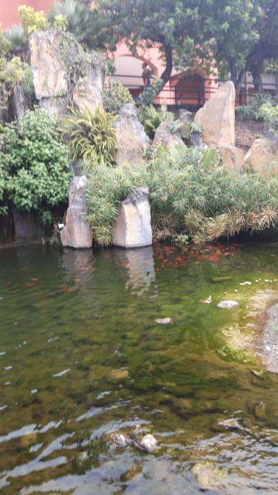 Gartenanlage La Palma Princess