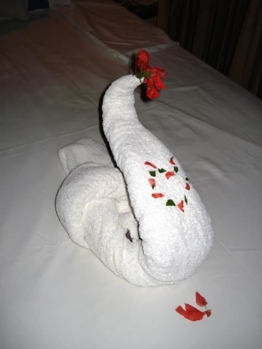 Zimmerservice Jaz Makadi Oasis Resort