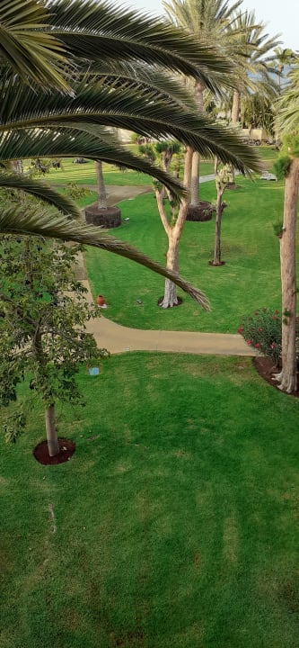 Gartenanlage ROBINSON JANDIA PLAYA