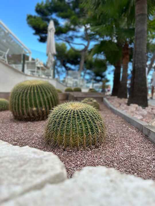 Außenansicht Iberostar Waves Playa de Muro