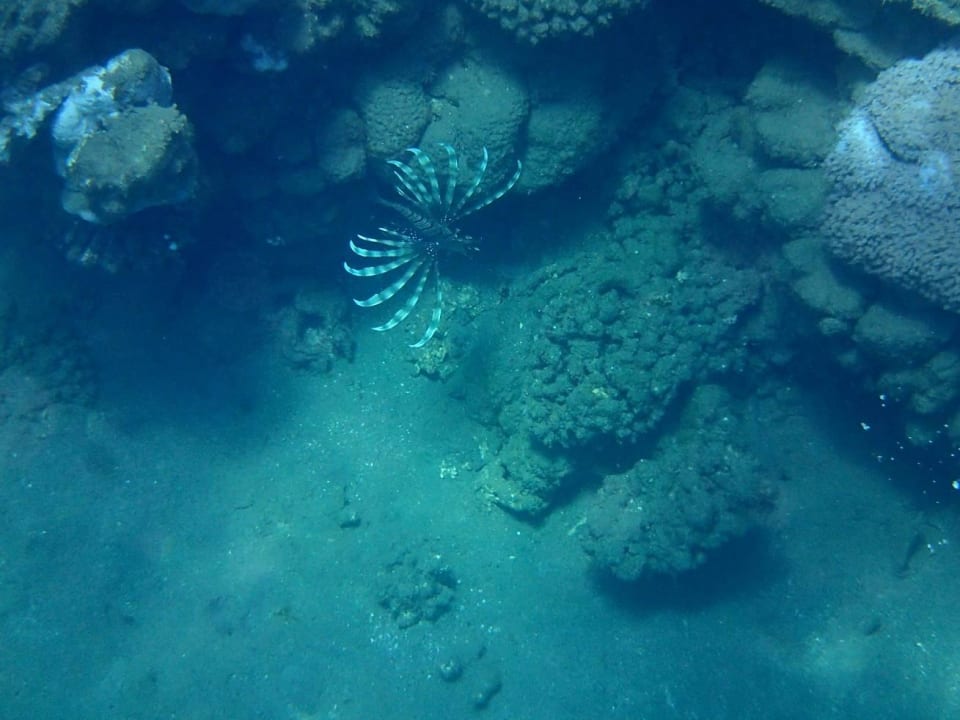 In the sea Three Corners Equinox Beach Resort