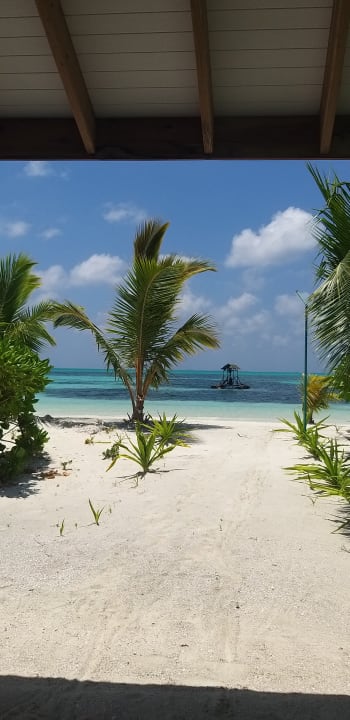 Zimmer South Palm Resort Maldives